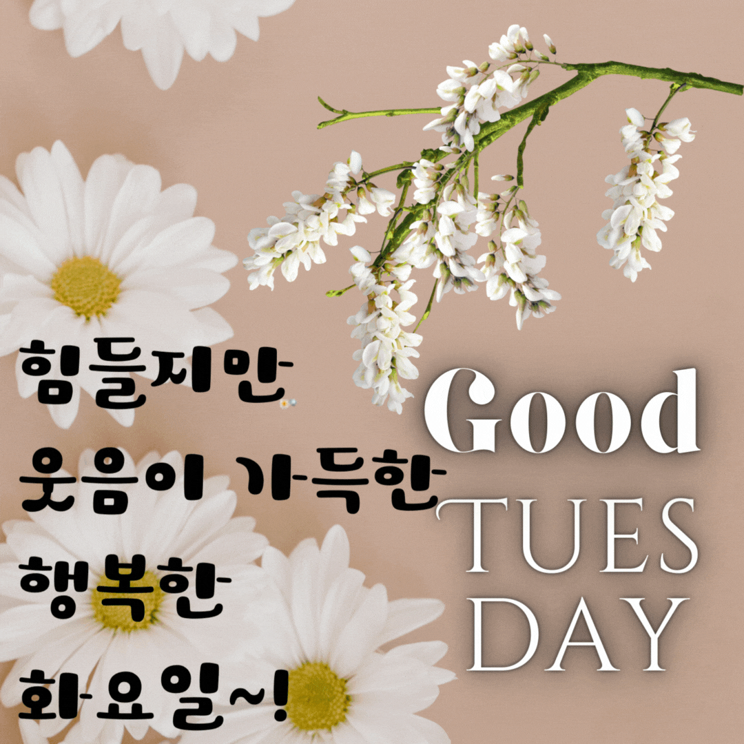 화요일 아침 인사말 이미지