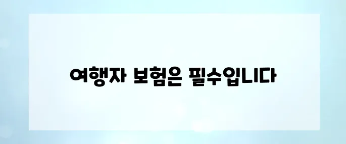 여행자 보험 필수 체크리스트 : 안전한 여행을 위한 준비
