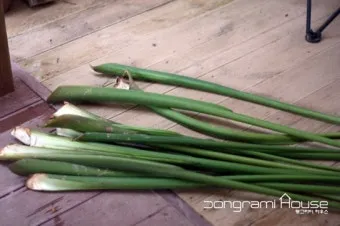 토란대 손질방법 말리는 방법을 정리_11