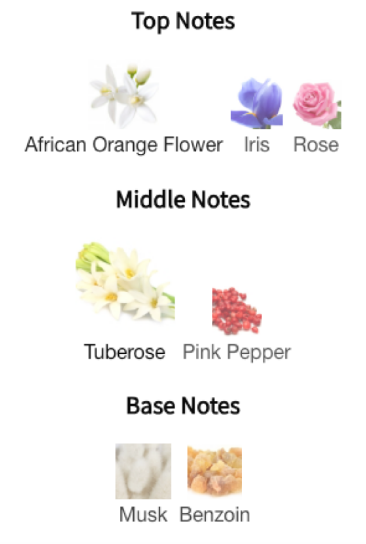 딥디크 도손 향수, 탑, 미들, 베이스 노트에 대한 향료 정보