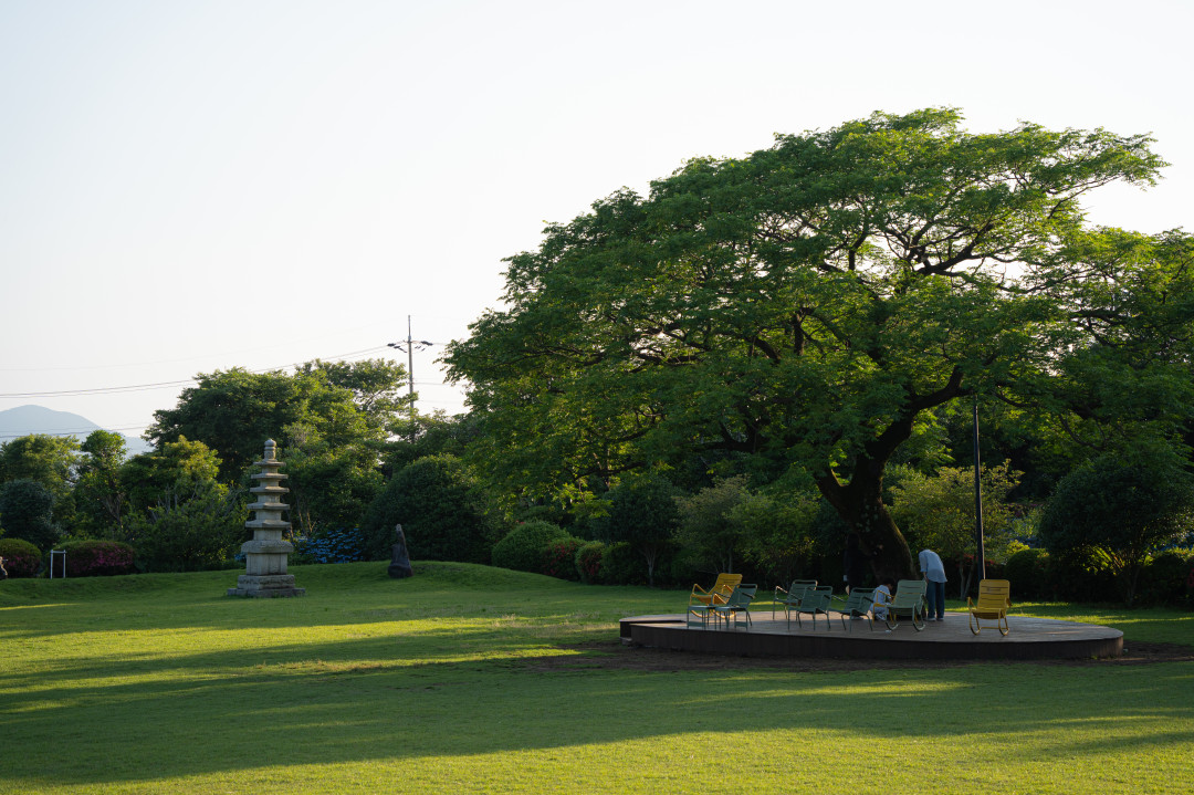카멜리아힐 들판