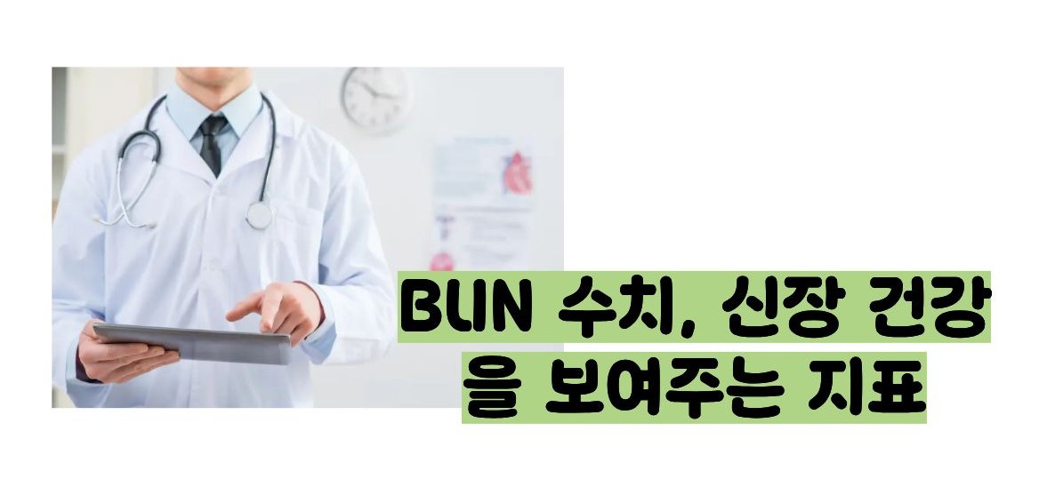 BUN 수치