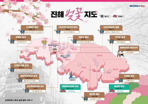 진해 벚꽃 축제 기간 동안 꼭 방문해야 할 명소 TOP10