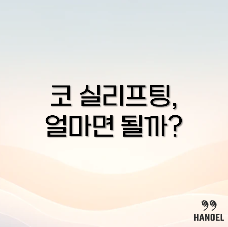코 실리프팅