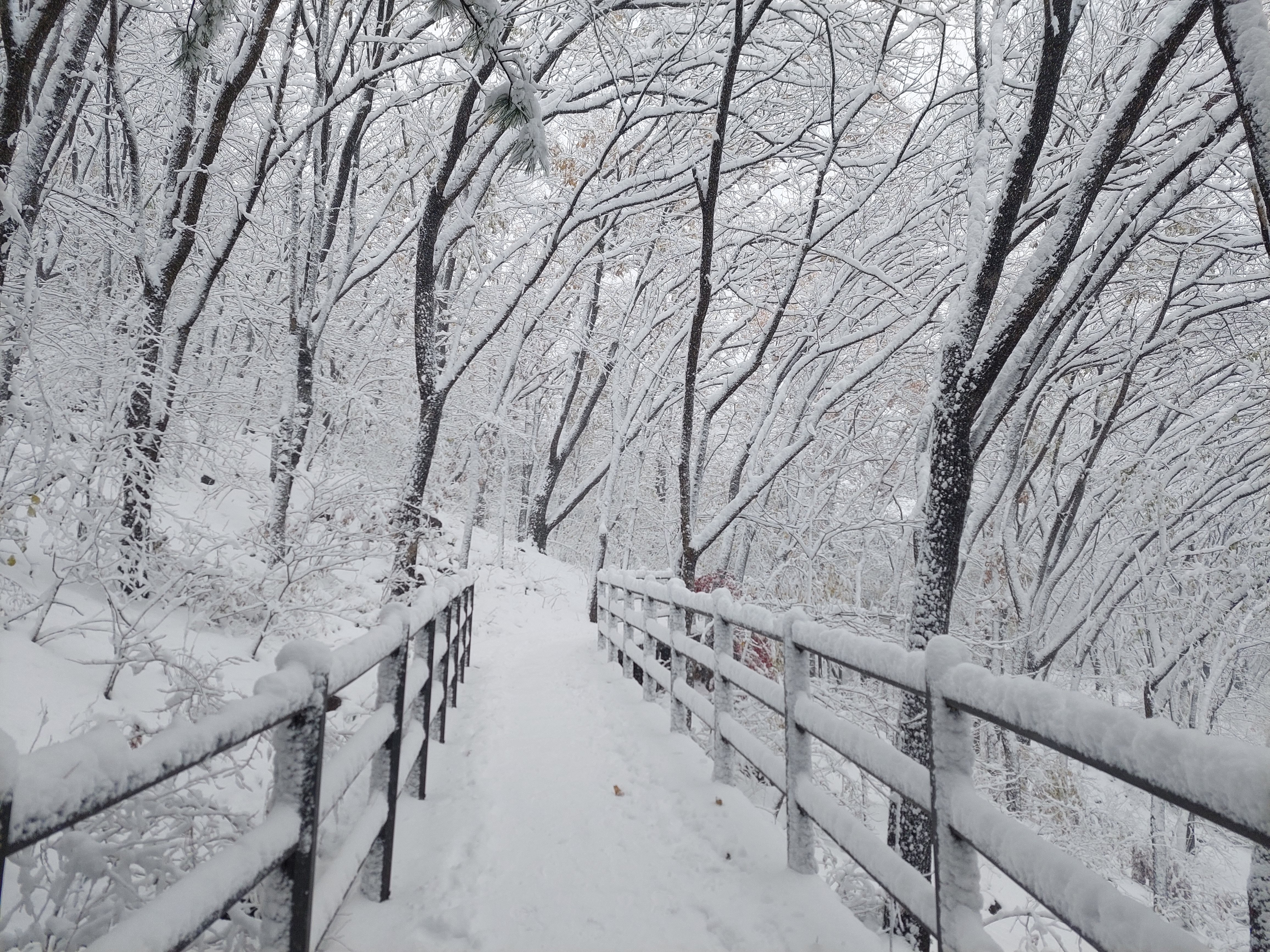 백련산안산