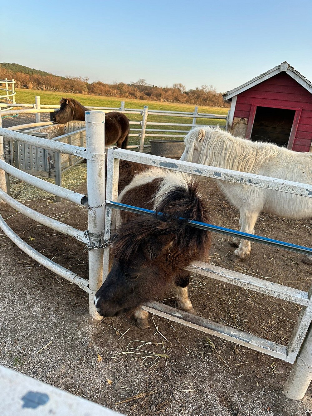 < 에코랜드 테마파크2>