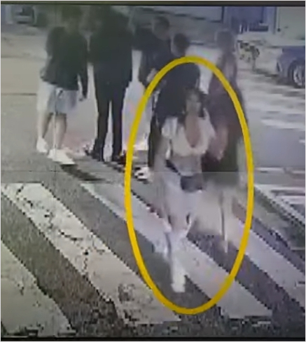 가수 제시 일행 사진 요청한 10대 폭행