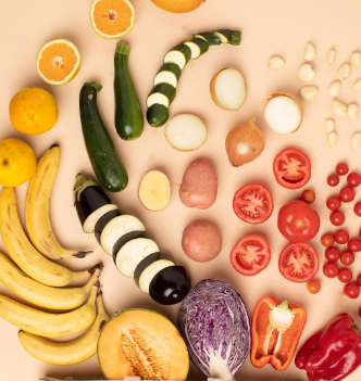 2026 설 민생안정 대책 총정리 역대 최대 성수품 공급과 고속도로 통행료 면제 혜택