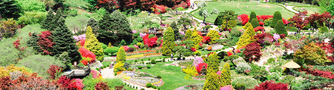 2025 봄꽃페스타: 아침고요수목원에서 만나는 봄의 향연!