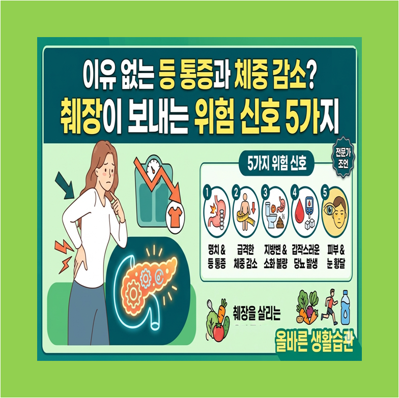 이유 없는 등 통증과 체중감소? 췌장이 보내는 위험신호 5가지 증상 이미지