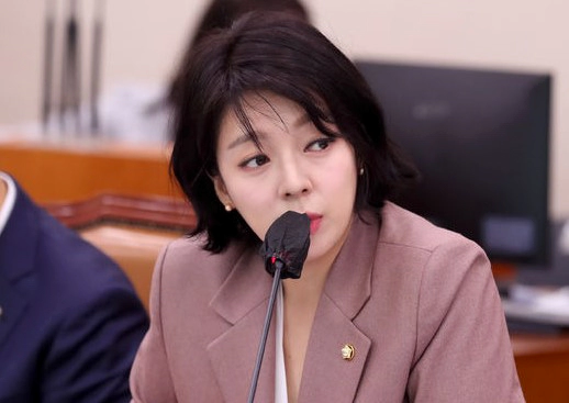 배현진 국회의원 프로필 나이 학력 경력 지역구