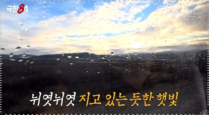 2026 북극 마라톤 일정 및 신청 방법 총정리: 기안84도 도전하는 '지구 끝 레이스'