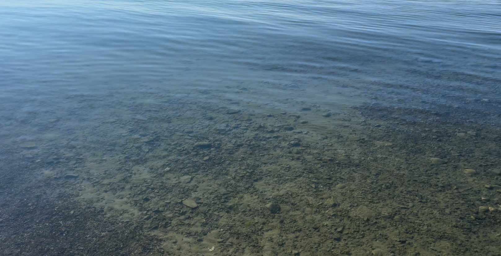 몽골 카르가스 호수 경치6