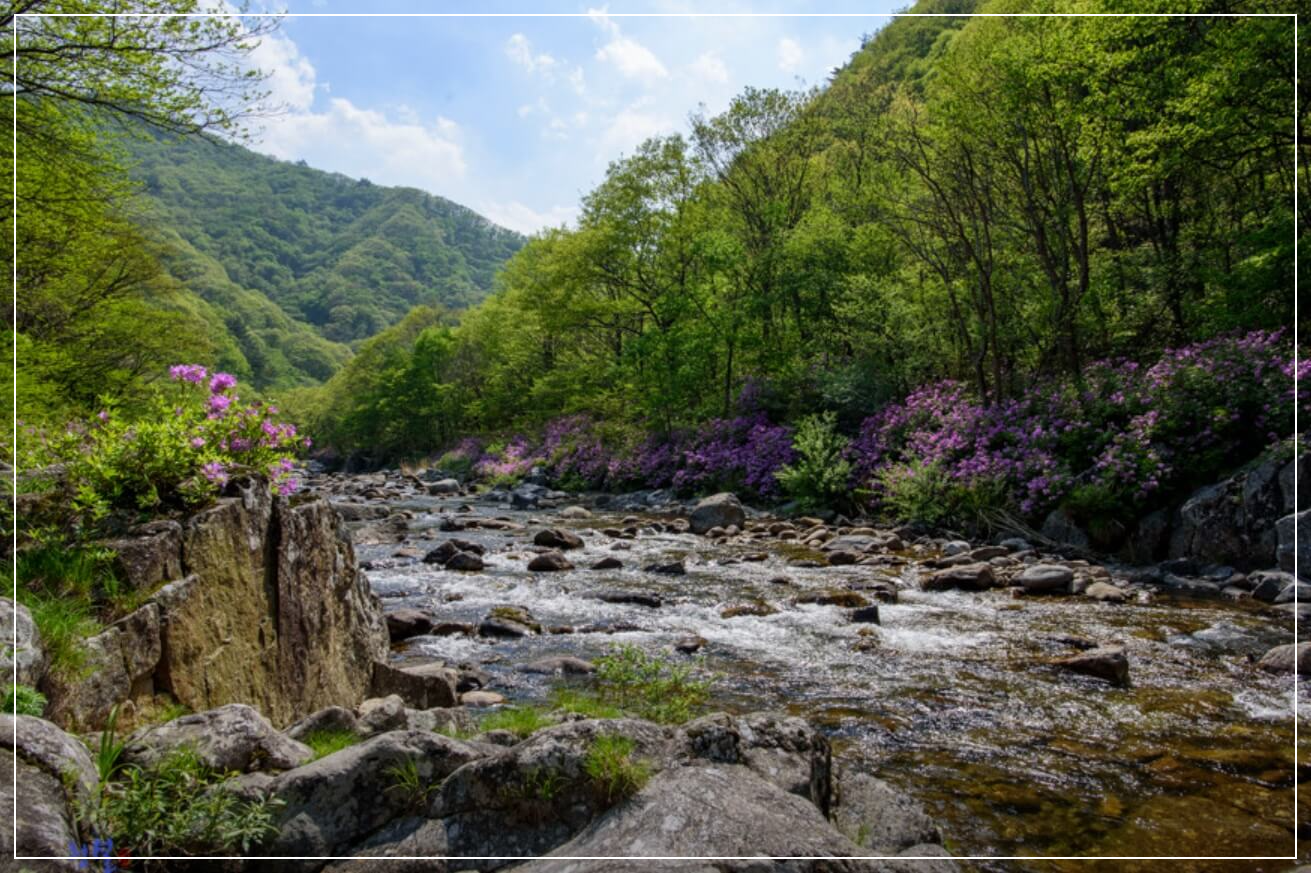 괴산 가볼만한곳 베스트10 달궁계곡 