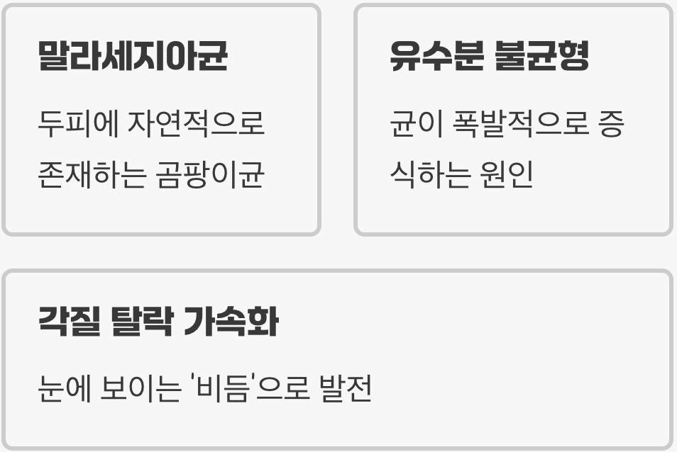 비듬, '더러워서' 생기는 게 아닙니다