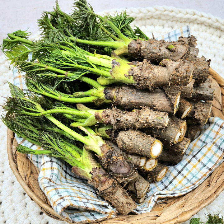 4월 제철 음식과 건강 효능 : 맛있는 제철 음식 요리로 가족들 건강까지!