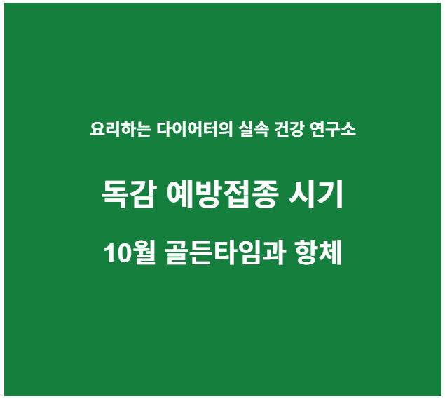 독감 예방접종 시기