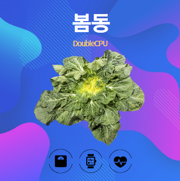 봄동 알아보기