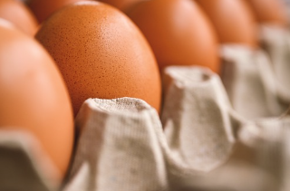 지독한 방귀 냄새 이유와 종류 알아보기 (구린내,신내,고소한 냄새,양념냄새 등)