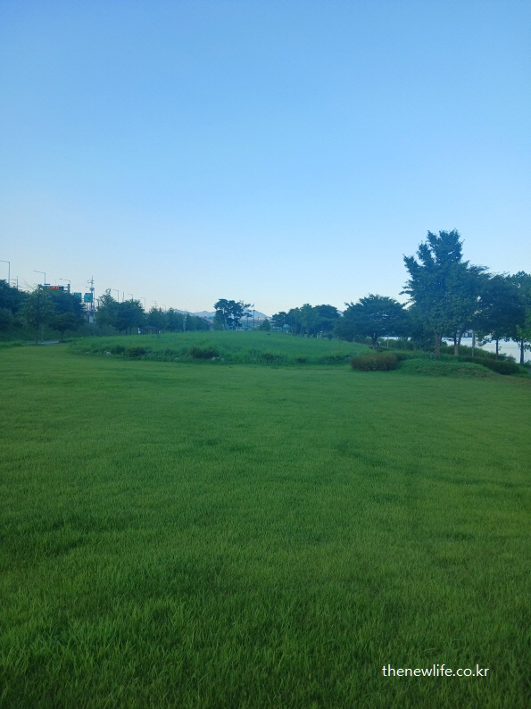 Evening tranquility over the soft lawn at Guri Hangang Park, ideal for reducing stress and improving sleep quality with barefoot walking/저녁의 고요함이 깃든 구리 한강시민공원의 잔디밭 &ndash; 스트레스 해소와 수면 질 향상에 적합한 잔디밭 어싱 효과 명소