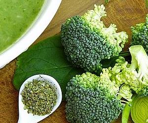 블로콜리는 알파 글루코시다제 효소의 작용을 억제하며 혈당 상승을 방해합니다.