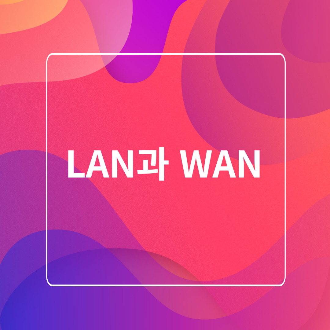 LAN과 WAN