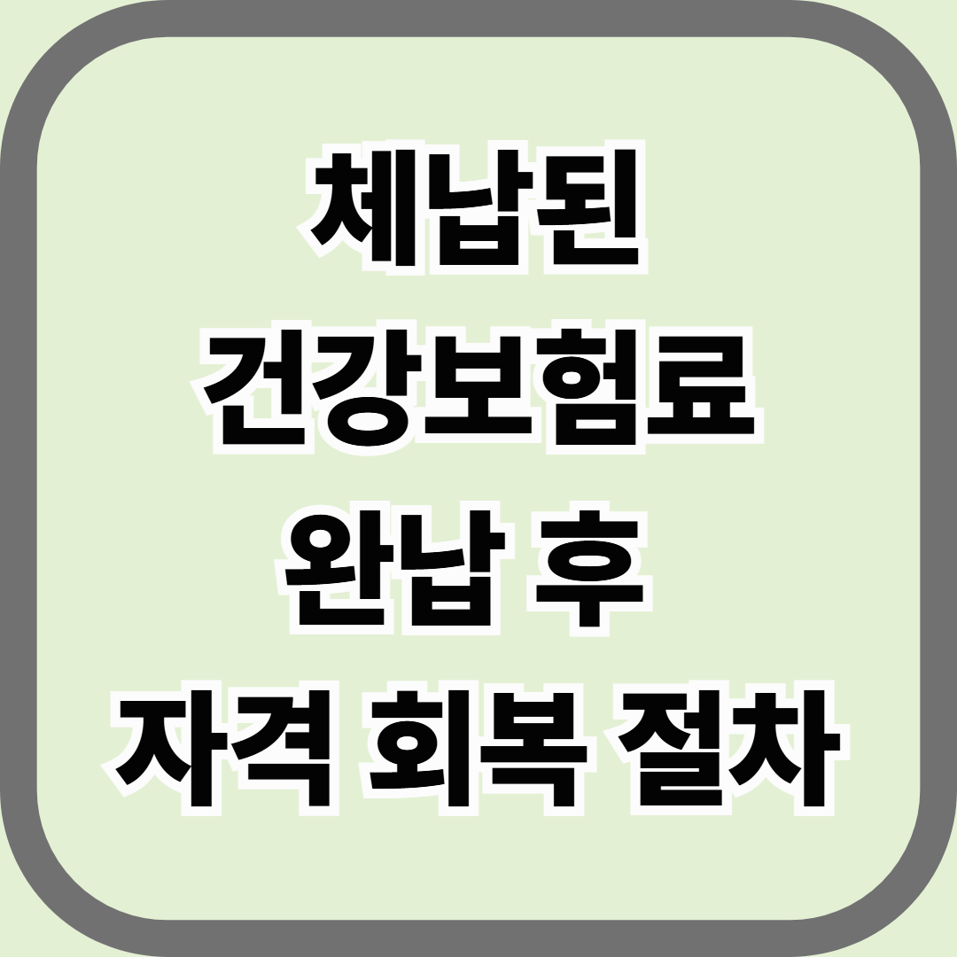 체납된 건강보험료 완납 후 자격 회복 절차 — 정지된 건강보험 다시 활성화하는 법