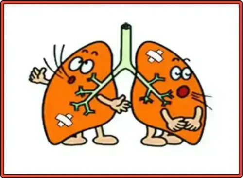 세균 있는 폐 그림