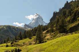 2026 새해일출런 코스