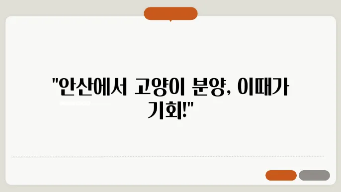 안산고양이분양을 위한 최적의 시기와 준비사항