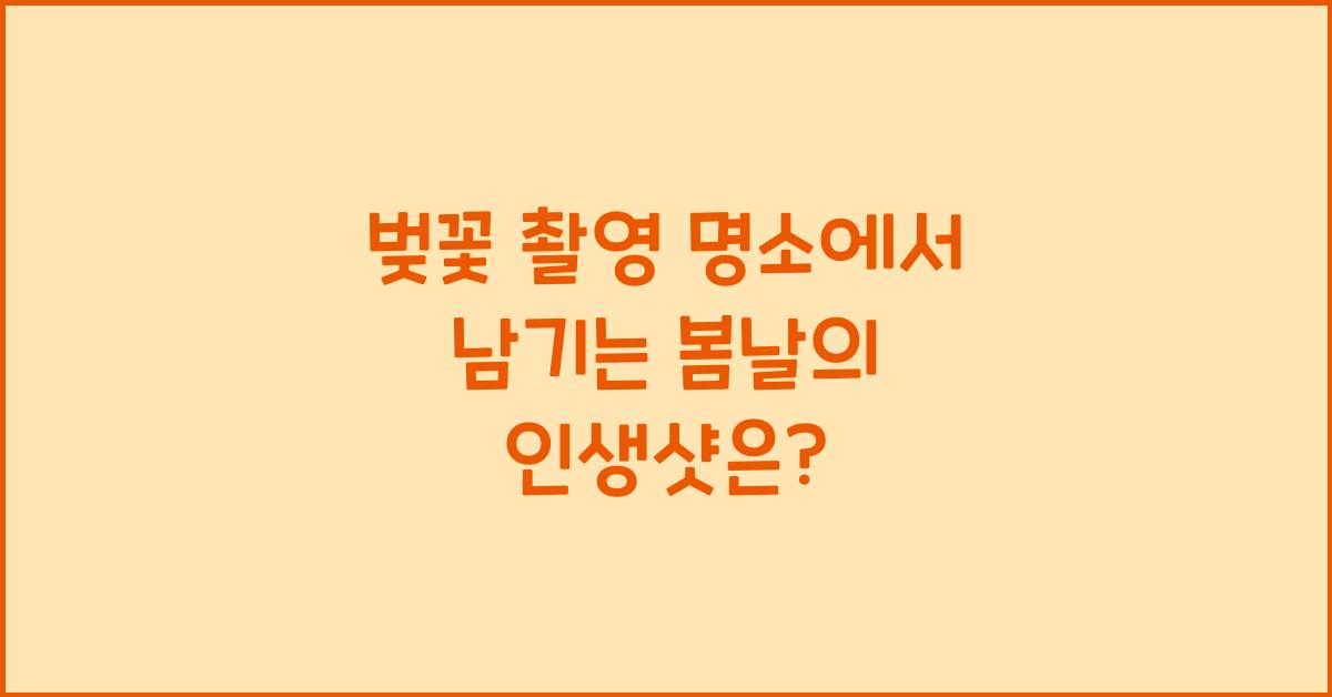 벚꽃 촬영 명소