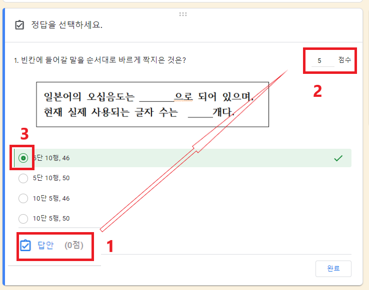 배점과 정답 체크