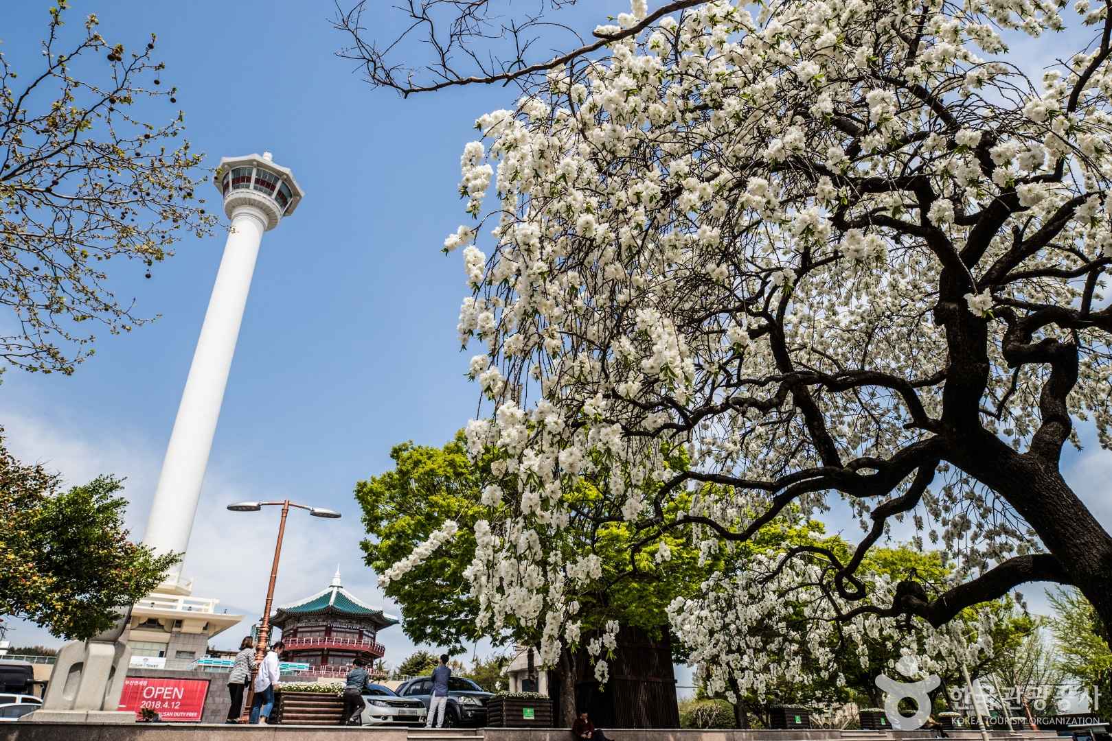 용두산공원