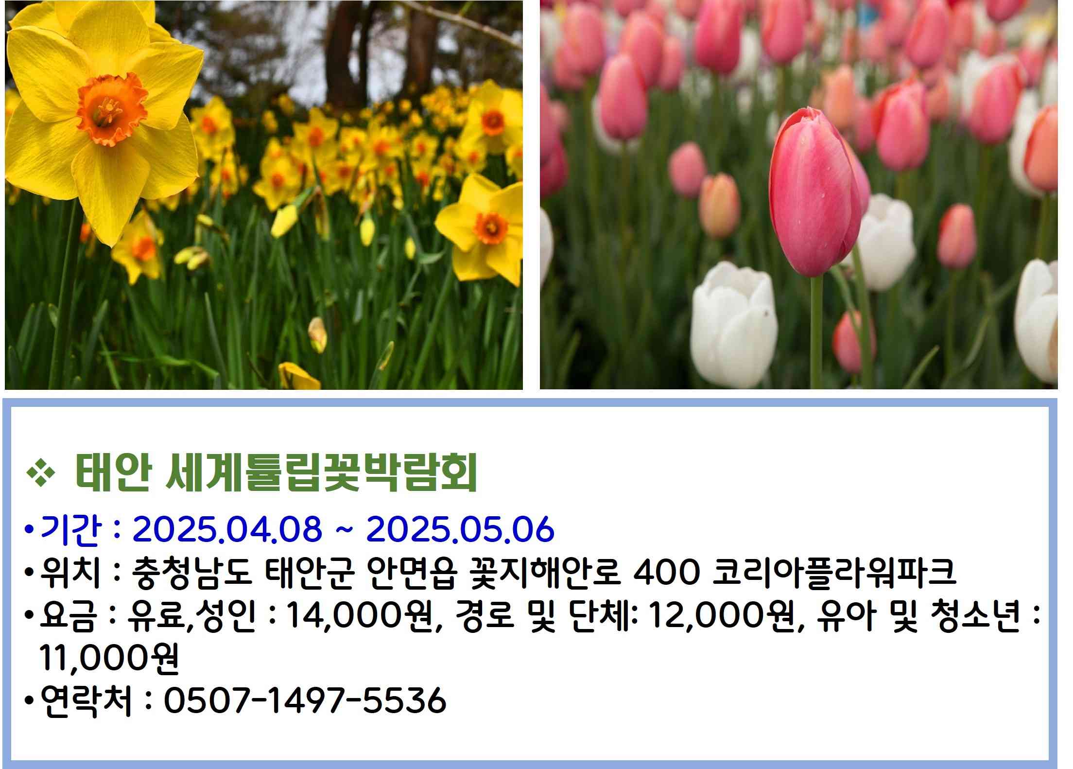 태안 세계튤립꽃박람회