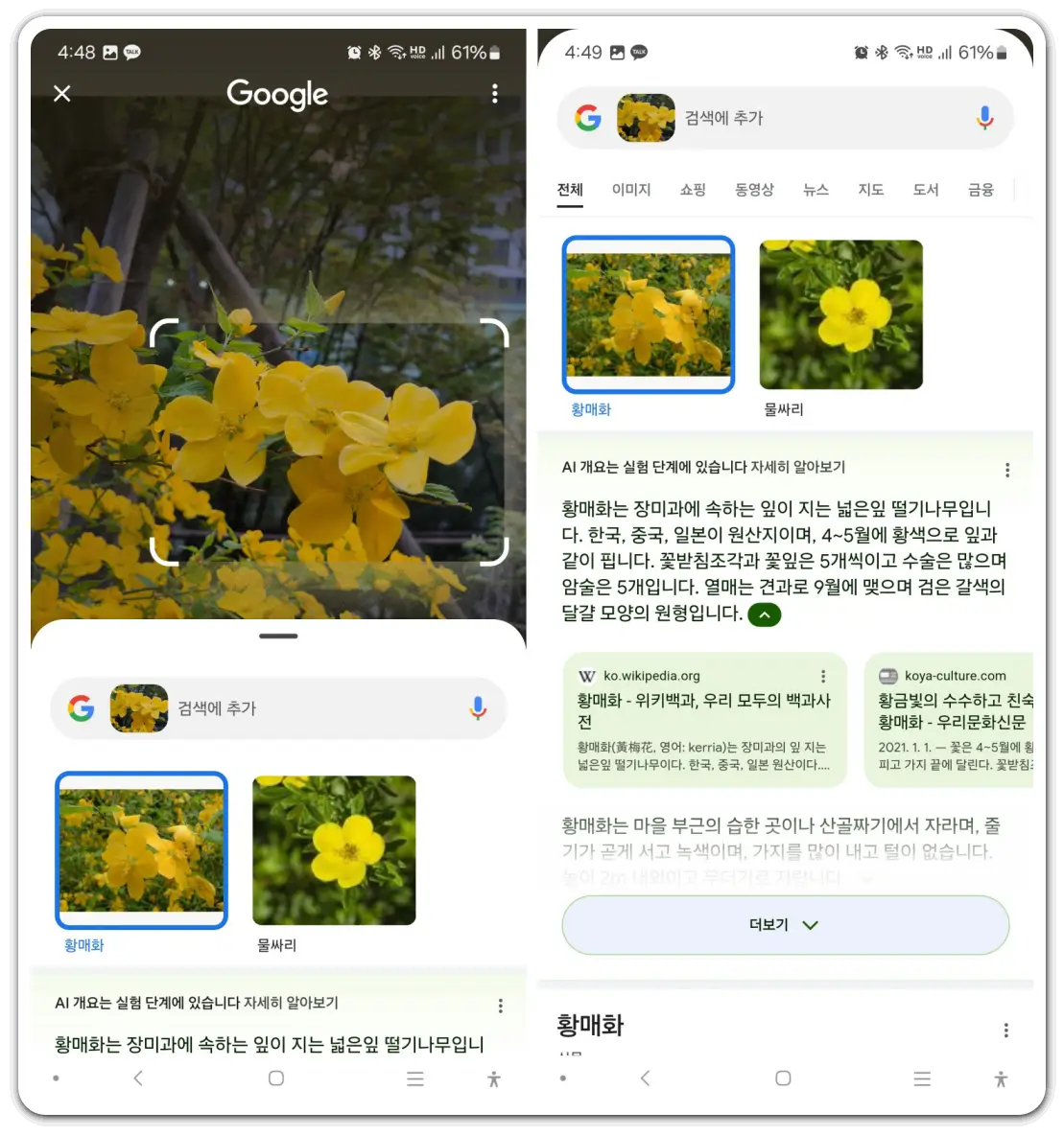 꽃-이름-검색-찾기-방법