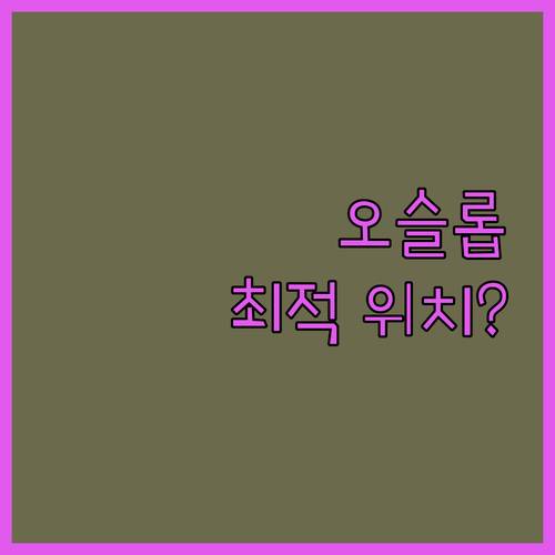씨파리 리조트 오슬롭, 고래상어 투어