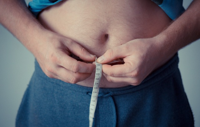 마른 비만의 원인과 건강 위험성 관련 사진