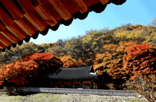 순창_강천산