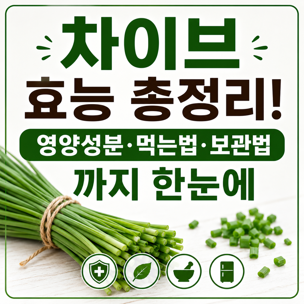 차이브 효능