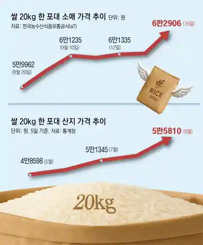 쌀 가격 추이 인포그래픽