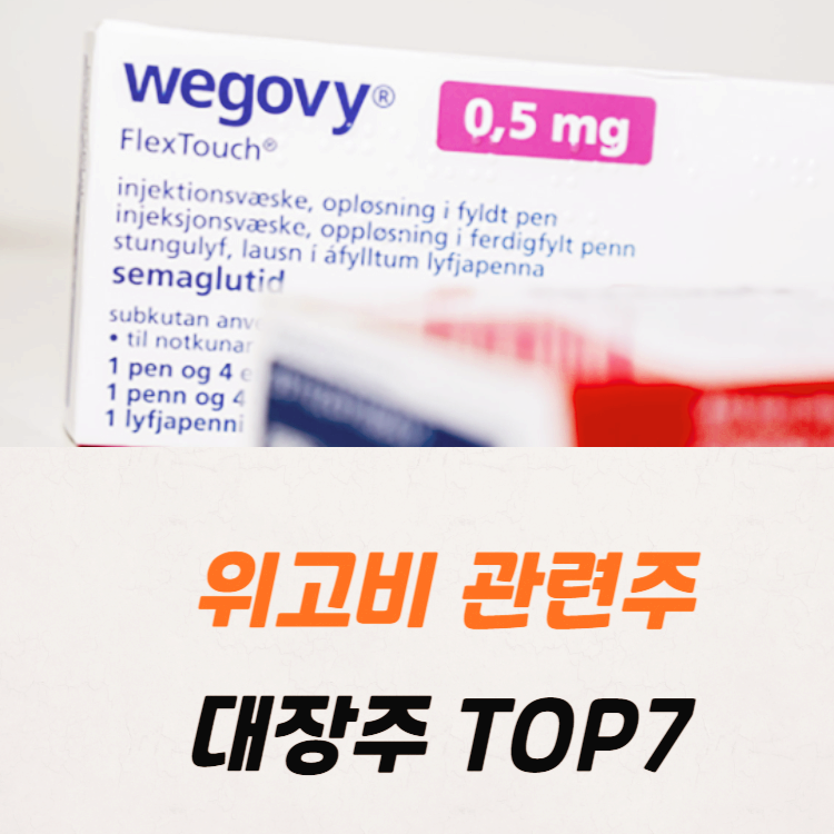 위고비 관련주 대장주 테마주 수혜주 TOP7