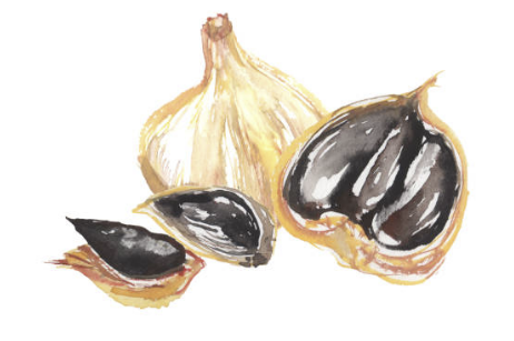 흑마늘 효능 만들기 전기밥솥 복용방법 보관방법 총정리(최신)