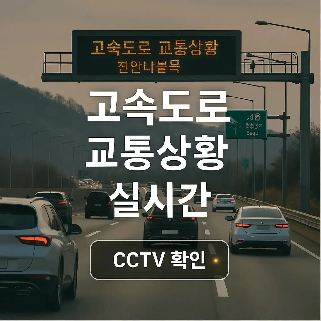 고속도로 교통상황 실시간 확인 (+CCTV)