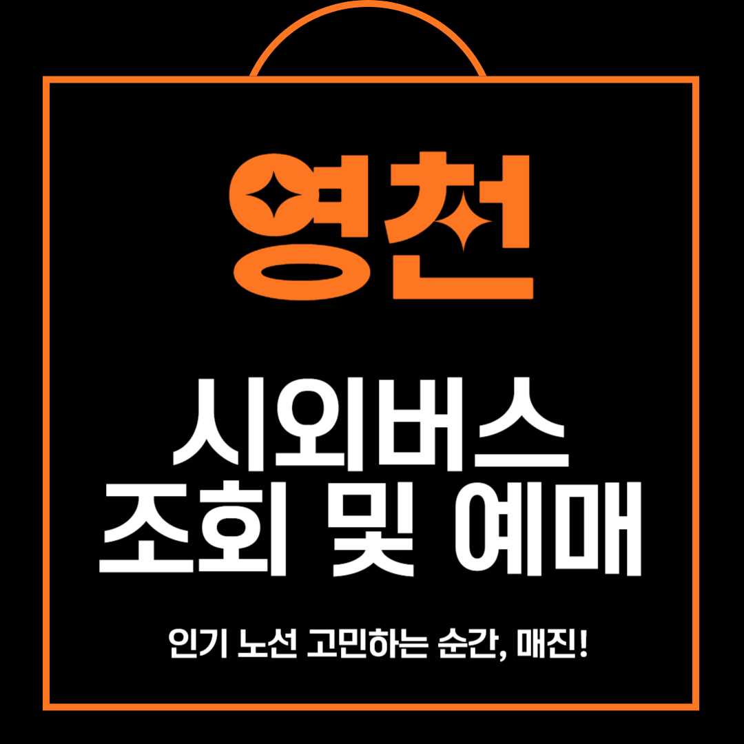 영천 시외버스 조회 및 예매 방법 안내