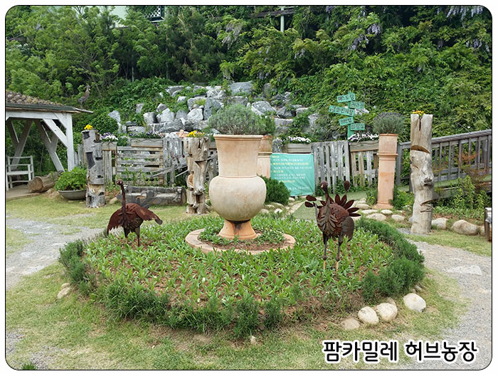 팜카밀레 허브농장