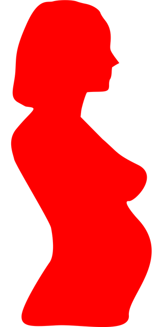 출산지원금 전액 비과세와 자녀·손자녀 세액공제