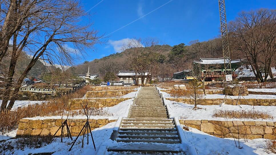 양평 용문사 : 천년의 숨결을 간직하고 은행나무 아래서 찾는 마음의 휴식과 여유가 있는곳