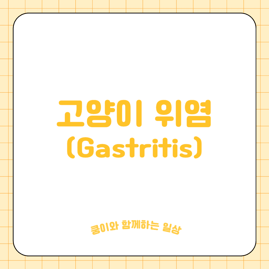 고양이 위염(Gastritis)