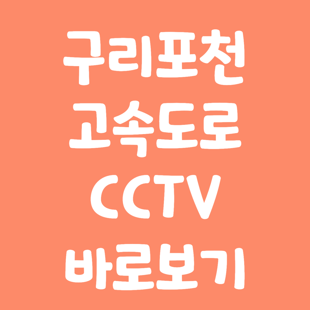 실시간 구리포천 고속도로 CCTV 바로보기