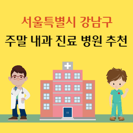 서울 강남구 토요일 일요일 내과 진료 병원 추천
